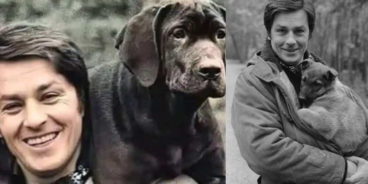 Alldaynews.gr Αλεν Ντελόν: Ο λόγος που φορούσε πάντα στρατιωτικό μπουφάν