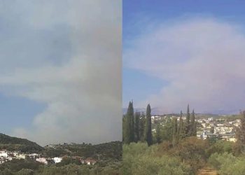 ΕΚΤΑΚΤΟ – Νέα μεγάλη φωτιά Τώρα κοντά από σπίτια – Συναγερμός στην Πυροσβεστική – Εκκενώνεται η περιοχή Παναγία