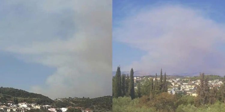 Alldaynews.gr ΕΚΤΑΚΤΟ – Νέα μεγάλη φωτιά Τώρα κοντά από σπίτια – Συναγερμός στην Πυροσβεστική – Εκκενώνεται η περιοχή Παναγία