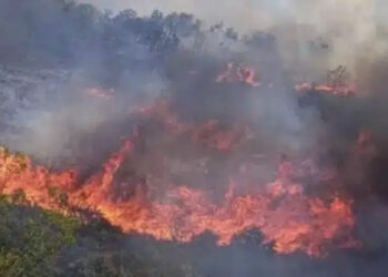 Νέα μεγάλη φωτιά τώρα – Καίγεται παpθένα βλάστηση – Αδύνατη η πρόσβαση από το Πυροσβεστικό προσωπικό