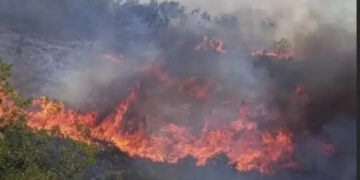 Νέα μεγάλη φωτιά τώρα – Καίγεται παpθένα βλάστηση – Αδύνατη η πρόσβαση από το Πυροσβεστικό προσωπικό
