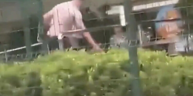 Πατέρας έσφαξε μέχρι θανάτου πλανόδιο πωλητή γιατί έβγαλε μαχαίρι μπροστά στην κόρη του