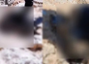 Κτηνωδία σοκ στην Ελλάδα – Έδεσαν σκύλο με πέτρα και τον πέταξαν στη θάλασσα – Τον βρήκε πνιγμένο ψαροτουφεκάς