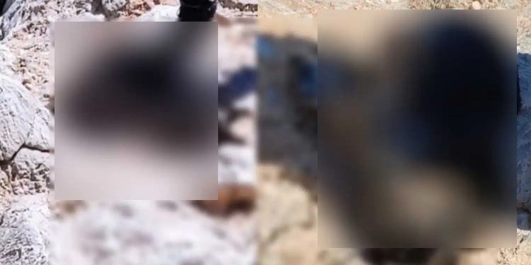 Alldaynews.gr Κτηνωδία σοκ στην Ελλάδα – Έδεσαν σκύλο με πέτρα και τον πέταξαν στη θάλασσα – Τον βρήκε πνιγμένο ψαροτουφεκάς