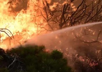 ΕΚΤΑΚΤΟ – Nέα φωτιά ΤΩΡΑ στην Αττική διπλά από σπίτια – Συναγερμός στην Πυροσβεστική