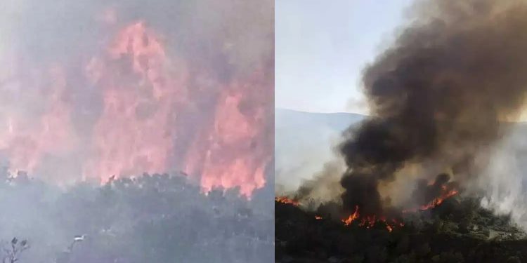 EKTAKTO – Νέα φωτιά τώρα σε βουνό – Διπλά σε σπίτια – Συναγερμός στην Πυροσβεστική