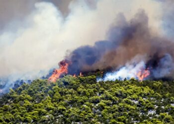 Alldaynews.gr φωτιά Εύβοια