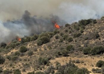 Alldaynews.gr Αναζωπύρωση της φωτιάς στο Νότιο Ρέθυμνο – συναγερμός στην πυροσβεστική