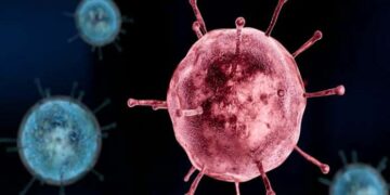 Alldaynews.gr Ιος Oropouche τα πρώτα κρούσματα στην Ευρώπη