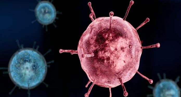 Alldaynews.gr Ιος Oropouche τα πρώτα κρούσματα στην Ευρώπη