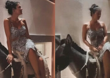 Μαρία Κορινθίου – Σάλος με το βίντεο πάνω στο ψεύτικο γαϊδουράκι: «Κρίμα, είσαι και φιλόζωη»