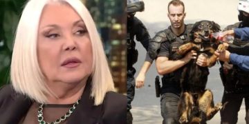 Alldaynews.gr Ρούλα Κορομηλά: Οργή για τους ασυνείδητους ιδιοκτήτες κατοικίδιων – «Θεωρείται εγκληματική πράξη και απανθρωπιά»