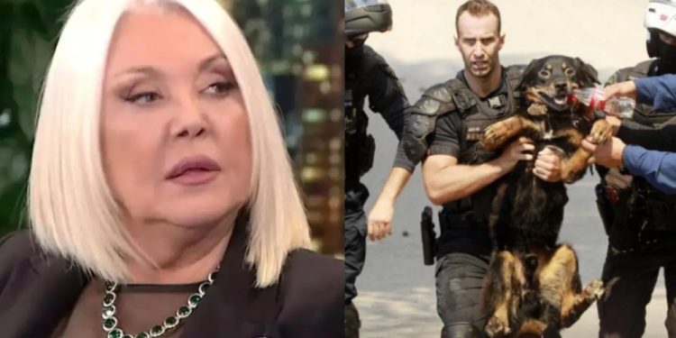 Alldaynews.gr Ρούλα Κορομηλά: Οργή για τους ασυνείδητους ιδιοκτήτες κατοικίδιων – «Θεωρείται εγκληματική πράξη και απανθρωπιά»