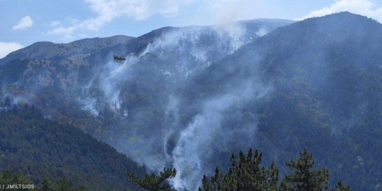 Alldaynews.gr Αγανάκτηση: Για 26η μέρα καίει η φωτιά στον Όρβηλο – «Δεν επιχειρούν εναέρια μέσα», λέει ο δήμαρχος – Διαμαρτυρία κατοίκων