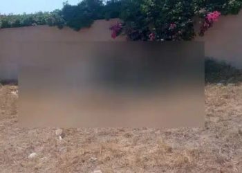 Σαντορίνη: Έδεσαν άλογο και το άφησαν να πεθάνει από τη δίψα κάτω από τον καuτó ήλιο