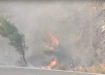 Φωτιά στην Αττική – Οργή στον αέρα: “Όλη τη νύχτα δεν έχουν στείλει πυροσβεστικό γαμ….οι!”