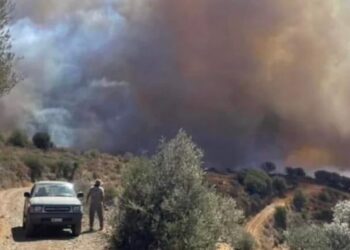 Πύρινη κόλαση – Μεγάλη φωτιά τώρα – Εκκενώνεται όλο το Νότιο τμήμα του Δήμου