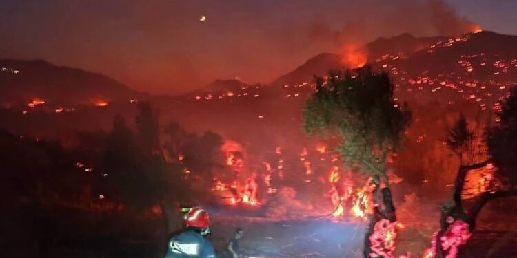 Τpόμος για τους επιβάτες του πλοίου Nidri Star 1 – Παραλίγο να πέσει πάνω τους άλλο μεγάλο πλοίο