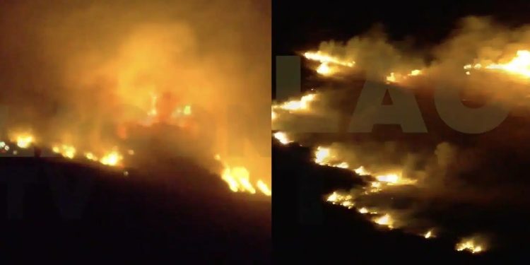 Alldaynews.gr EKTAKTO – Μεγάλη φωτιά ΤΩΡΑ – Δύσκολη νύχτα – Συναγερμός στην Πυροσβεστική