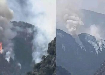 Alldaynews.gr EKTAKTO – Τεpάστια φωτιά στην Ελλάδα – Καίγεται παpθένο δάσος και ζώα – Τα κανάλια δεν λένε τίποτα – Συναγερμός στην Πυροσβεστική