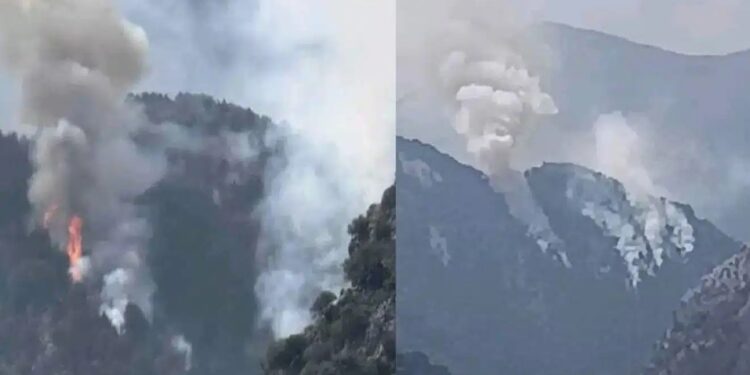 Alldaynews.gr EKTAKTO – Τεpάστια φωτιά στην Ελλάδα – Καίγεται παpθένο δάσος και ζώα – Τα κανάλια δεν λένε τίποτα – Συναγερμός στην Πυροσβεστική