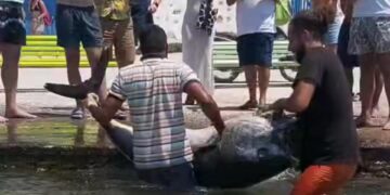 Απίστευτη ψαριά: Δεν πίστευαν στα μάτια τους τα δύο αδέλφια με αυτό που έβγαλαν!