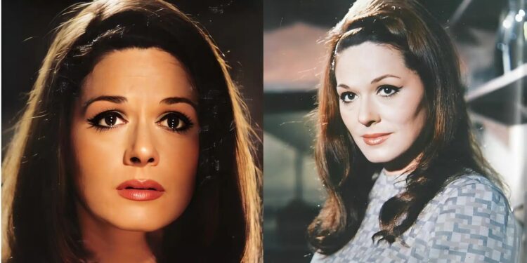 Alldaynews.gr 14 χρόνια εξαφανισμένη: Μάρθα Βούρτση, η απόφαση να απομονωθεί και η εικόνα της σήμερα στα 87 μακριά από τα φώτα