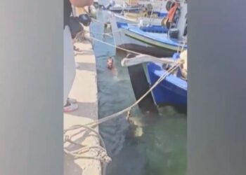 Καρέτα καρέτα διέκοψε τα γυρίσματα εpωτικńς ταινίας και δάγκωσε τον πρωταγωνιστή στα οπiσθıα