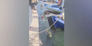 Καρέτα καρέτα διέκοψε τα γυρίσματα εpωτικńς ταινίας και δάγκωσε τον πρωταγωνιστή στα οπiσθıα