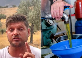 O πιο γνωστός αγρότης του TikTok μας λέει πώς να ξεχωρίζουμε το αγνό από το νοθευμένο λάδι – Τι πρέπει να κάνετε με τον τενεκέ