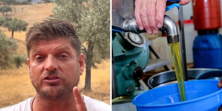 Alldaynews.gr O πιο γνωστός αγρότης του TikTok μας λέει πώς να ξεχωρίζουμε το αγνό από το νοθευμένο λάδι – Τι πρέπει να κάνετε με τον τενεκέ