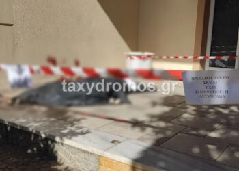 Alldaynews.gr Φρικιαστικό περιστατικό: Αδέσποτο σκυλί μαχαιρώθηκε μέχρι θανάτου – Σε αναζήτηση οι δράστες