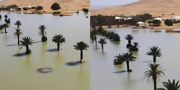 Alldaynews.gr Σαχάρα