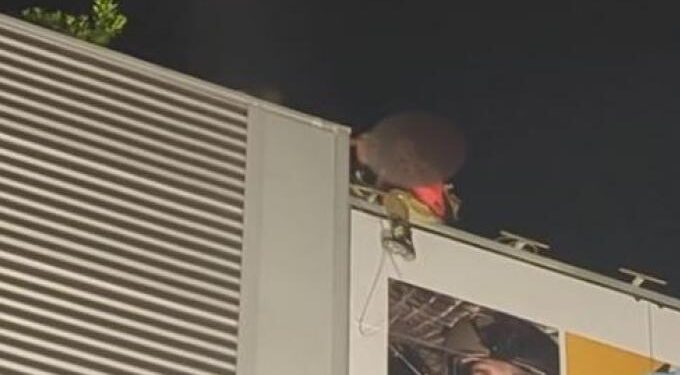 Alldaynews.gr ΕΚΤΑΚΤΟ: «Θρίλερ» στο υπουργείο Πολιτικής Προστασίας – Πυροσβέστης απειλεί να αυτοκτονήσει