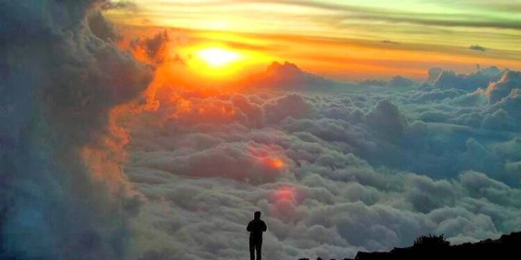 Alldaynews.gr Οι ψυχές ζουν και μας βλέπουν από ψηλά