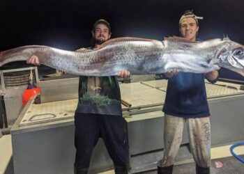 Ψαράδες έπιασαν το «ψάρι της Αποκάλυψης» – Τι φέρνει η εμφάνισή του