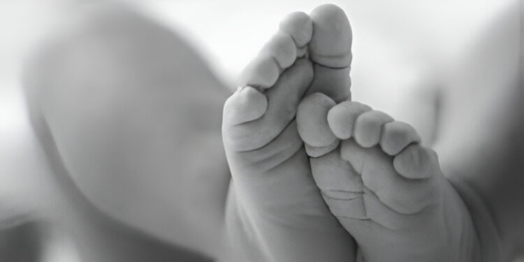 Alldaynews.gr «Έστελνε φωτογραφίες με το νεκρό μωρό μου στη μητέρα της» – Νέα σοκαριστική καταγγελία για την υπόθεση της Αμαλιάδας