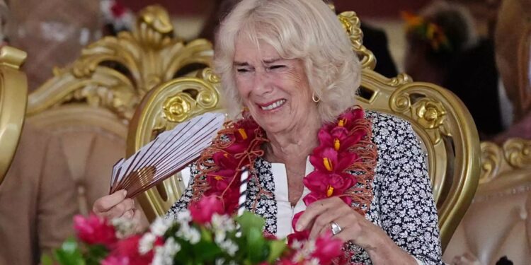 Alldaynews.gr Ένοχος ο οδηγός σχολικού που προκάλεσε τροχαίο με έναν νεκρό και 8 παιδιά τραυματίες