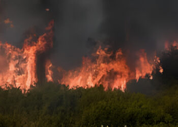 Φωτιά ΤΩΡΑ: Μεγάλη κινητοποίηση της Πυροσβεστικής, επιχειρούν και εναέρια μέσα