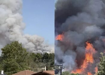 Alldaynews.gr EKTAKTO – Mεγάλη φωτιά ΤΩΡΑ: Καίει δίπλα από σπίτια – Συναγερμός στην Πυροσβεστική