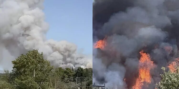 Alldaynews.gr EKTAKTO – Mεγάλη φωτιά ΤΩΡΑ: Καίει δίπλα από σπίτια – Συναγερμός στην Πυροσβεστική