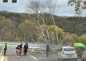 Τρόμος για τους οδηγούς στα Τέμπη:  Τεράστιο δένδρο κατέρρευσε στο οδόστρωμα της εθνικής οδού