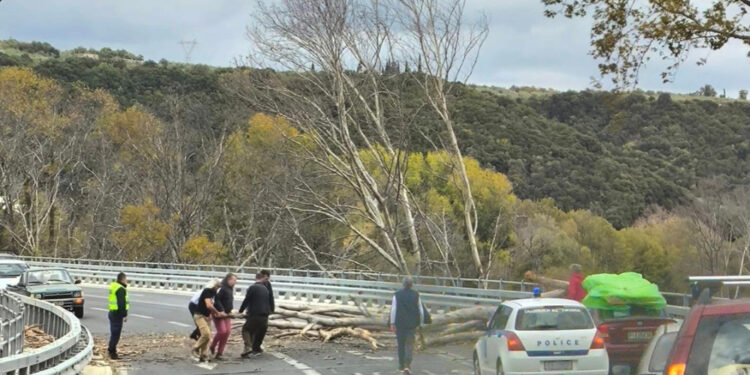 Alldaynews.gr Τρόμος για τους οδηγούς στα Τέμπη: Τεράστιο δένδρο κατέρρευσε στο οδόστρωμα της εθνικής οδού