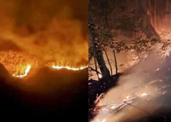 Alldaynews.gr Άρχισε να βγαίνει ραντεβού λίγο μετά τον θάνατο του άνδρα της και έναν χρόνο μετά παντρεύτηκε– «Ένιωθα ενοχές, όμως αυτό έπρεπε να κάνω»