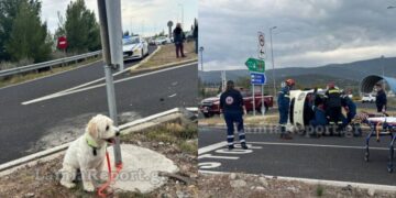 Alldaynews.gr Απίστευτο δυστύχημα με νεκρό 54χρονο – Σώθηκε το σκυλί του και τον περίμενε δίπλα στο τροχαίο