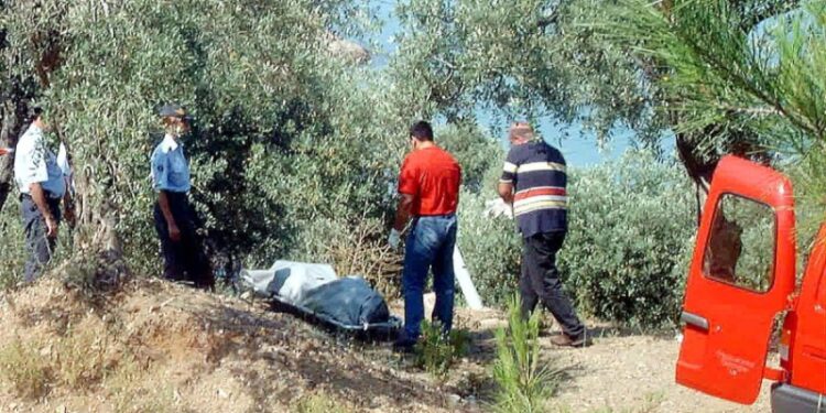 Alldaynews.gr Βρέθηκε ο δολοφόνος 2 χρόνια πριν παραγραφεί: Ο ιδιοκτήτης νυχτερινών κέντρων, το τριπλό φονικό και η… χτένα