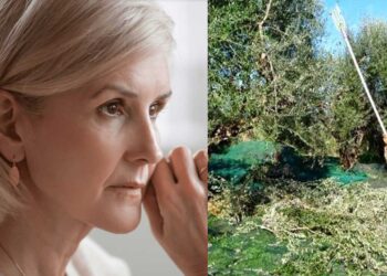 O άντρας μου κατέβηκε στο νησί να μαζέψει ελιές πριν 5 χρόνια και ακόμη να γυρίσει. Τι να κάνω;