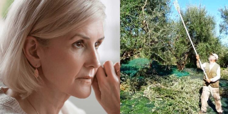 Alldaynews.gr O άντρας μου κατέβηκε στο νησί να μαζέψει ελιές πριν 5 χρόνια και ακόμη να γυρίσει. Τι να κάνω;