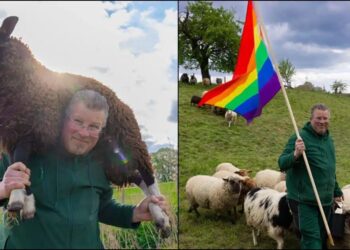 Γκέι αγρότης μεγαλώνει κοπάδι με 21 γκέι πρόβατα που έσωσε από σφαγείο