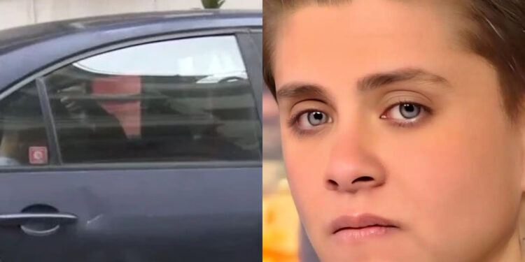 Alldaynews.gr «Αν με κρατήσουν μέσα θα κρεμαστώ»: Η στιγμή που η Ειρήνη Μουρτζούκου οδηγείται στην Ευελπίδων (video)